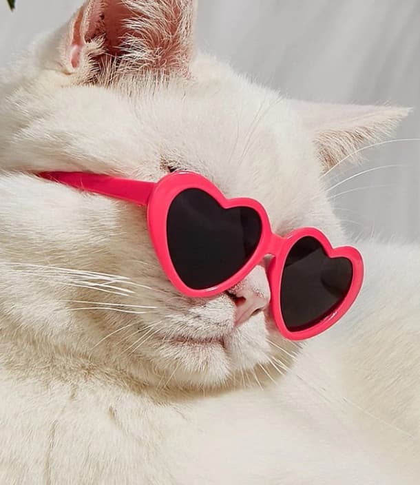 Gafas de sol estilo muñeca para mascotas