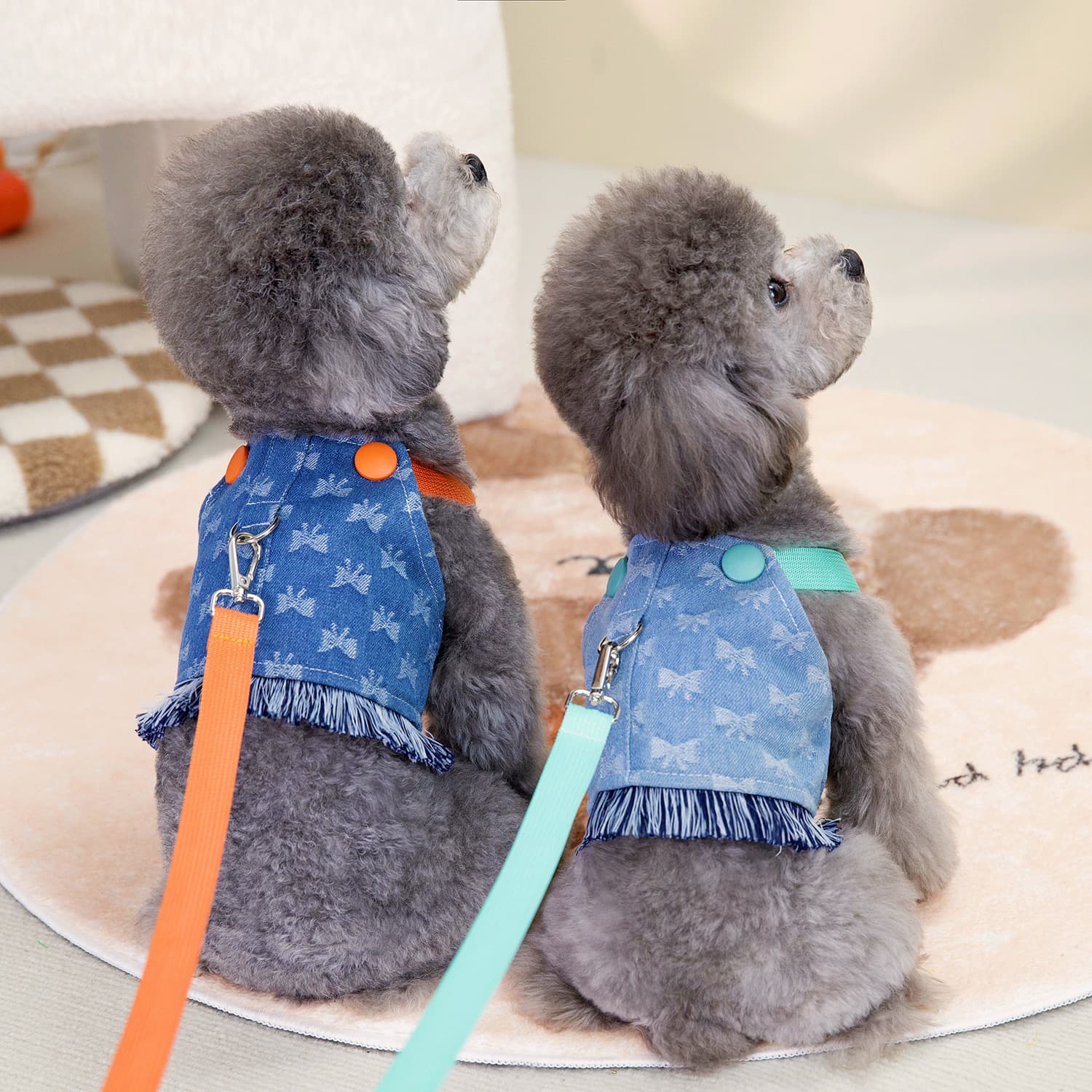 Ropa de denim para mascotas con arnés integrado