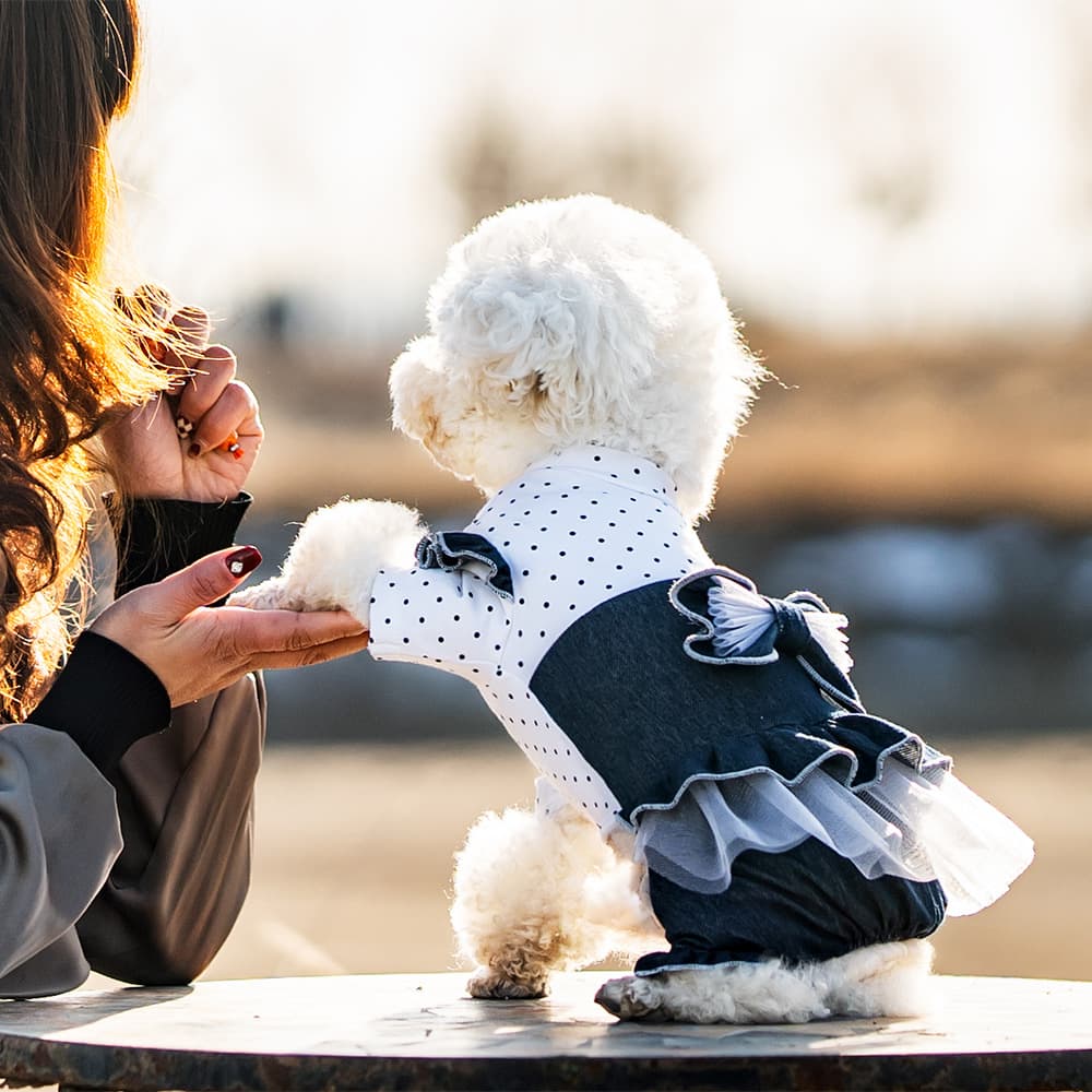 Falda tipo princesa de denim para mascotas con moño