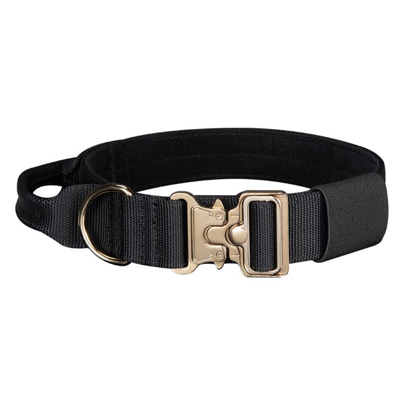 Correa de paseo para perros grandes con collar ajustable