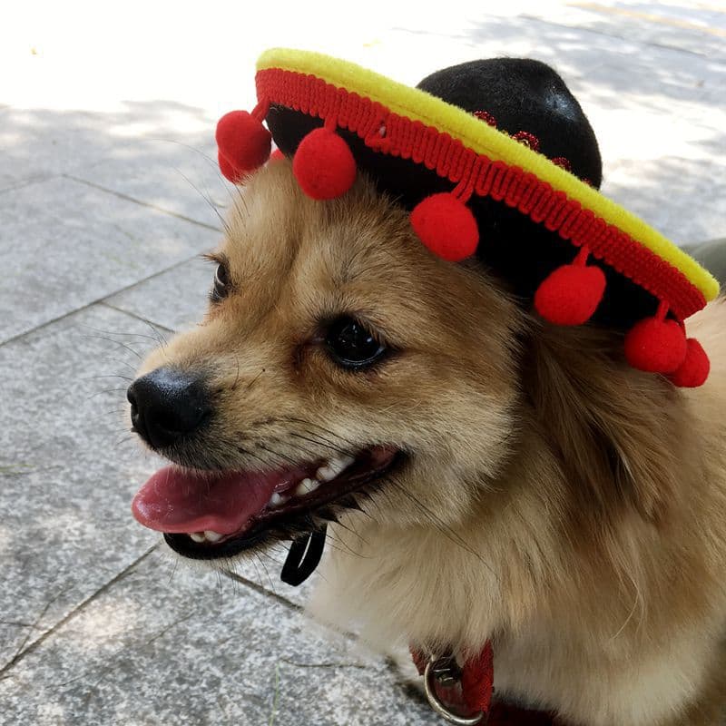 Sombreros decorativos para mascotas, diseño festivo