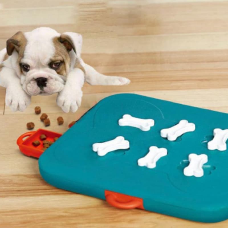 Juguete puzzle dispensador de alimento para mascotas