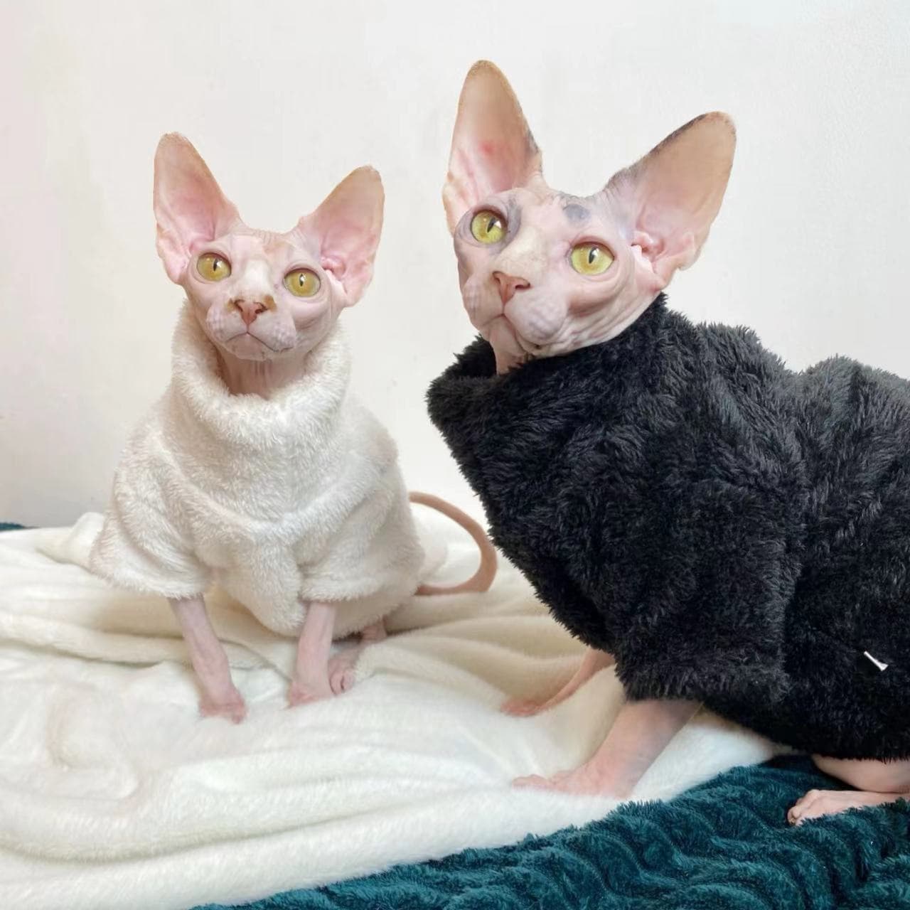 Abrigo para mascotas de invierno con felpa