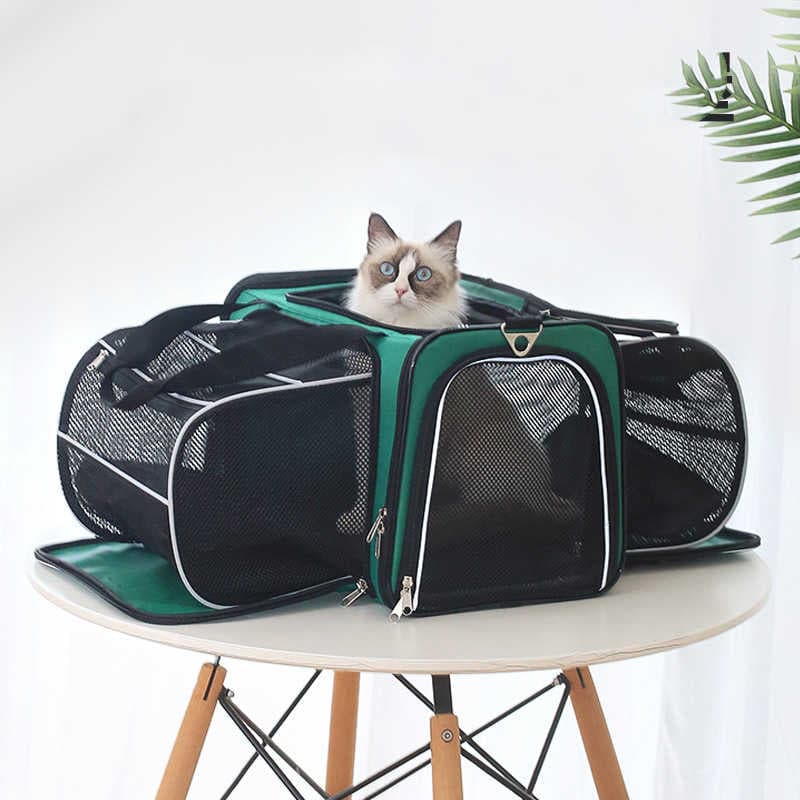 Mochila de cápsula espacial para mascotas