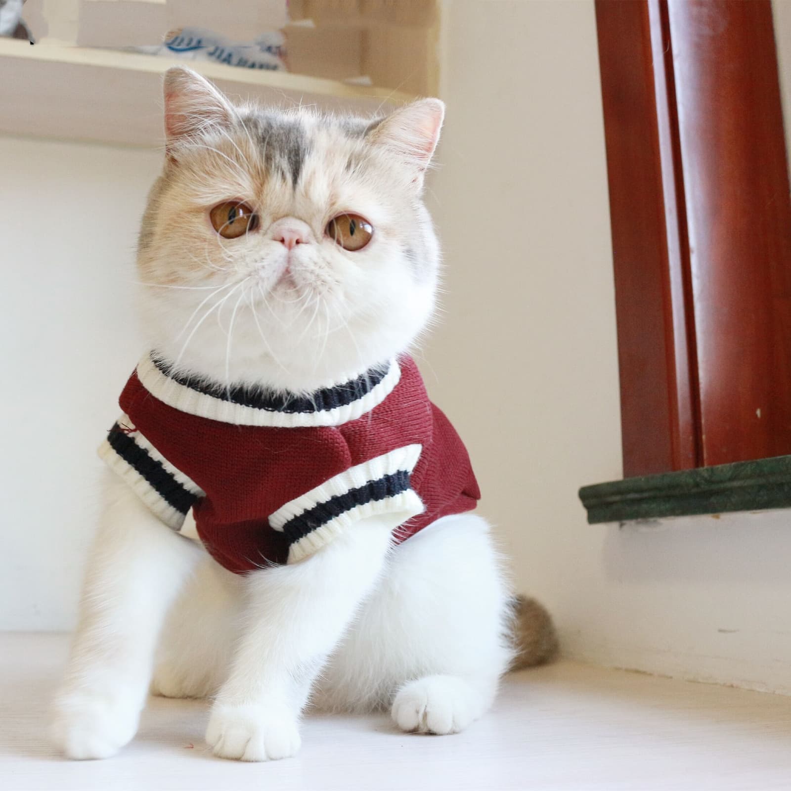 Chaleco fleece sin mangas para gatos estilo colegio