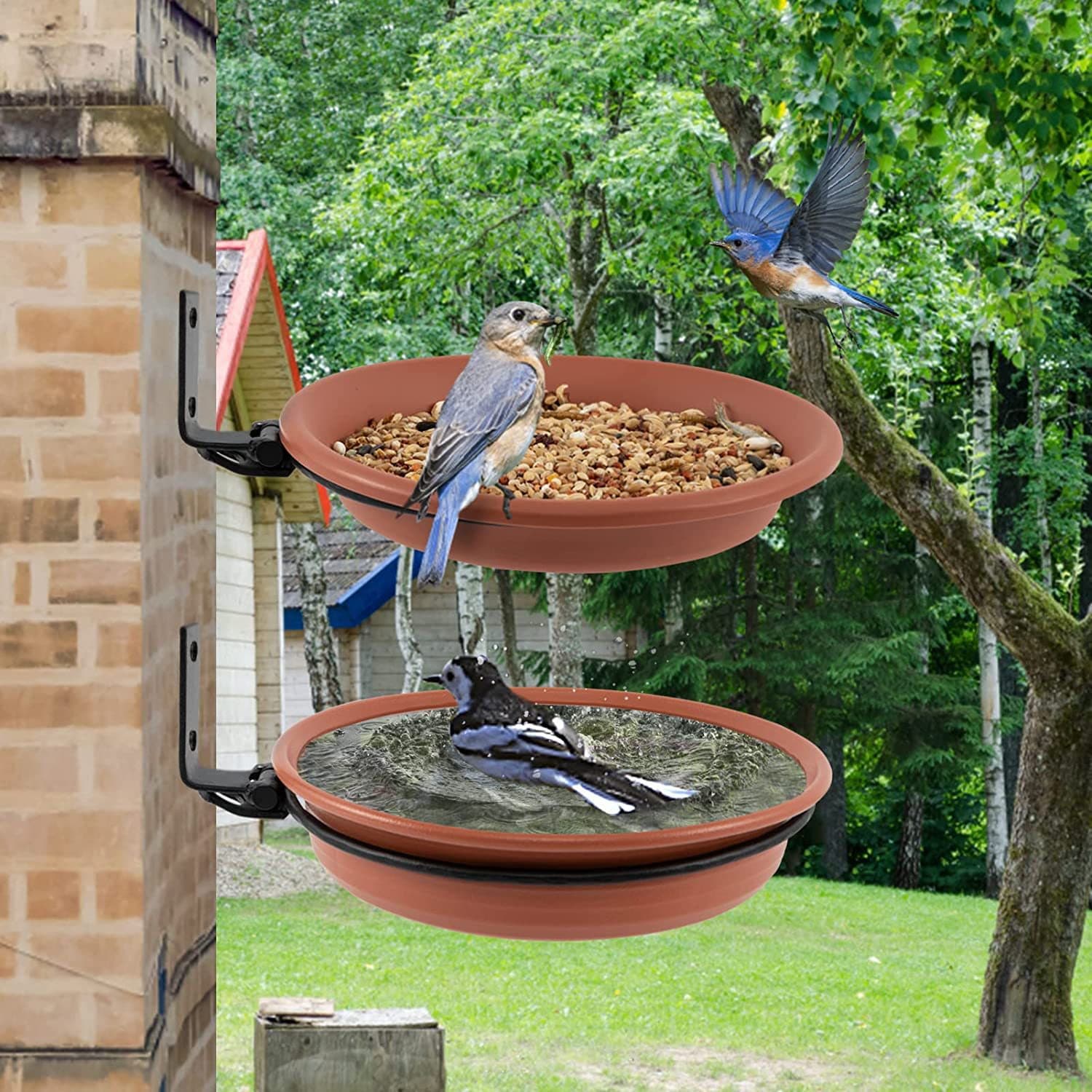 Comedero para colibríes fijable al tronco