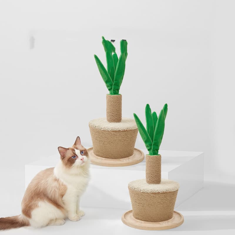 Marco de escalada para gatos con tablero de rascado de sisal