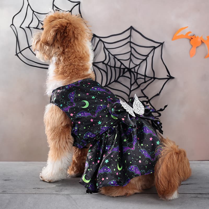 Disfraz de ángel con alas para mascotas de Halloween