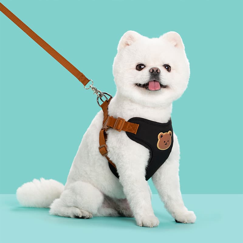 Correa para pasear perros de poliéster