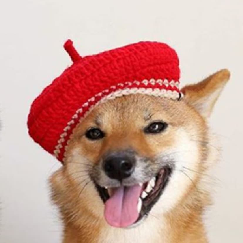 Boina tejida a mano para mascotas, multicolor y adorable