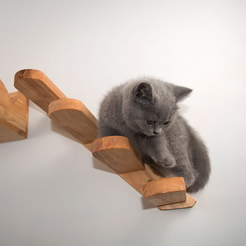 Escalera de madera para gatos montada en pared