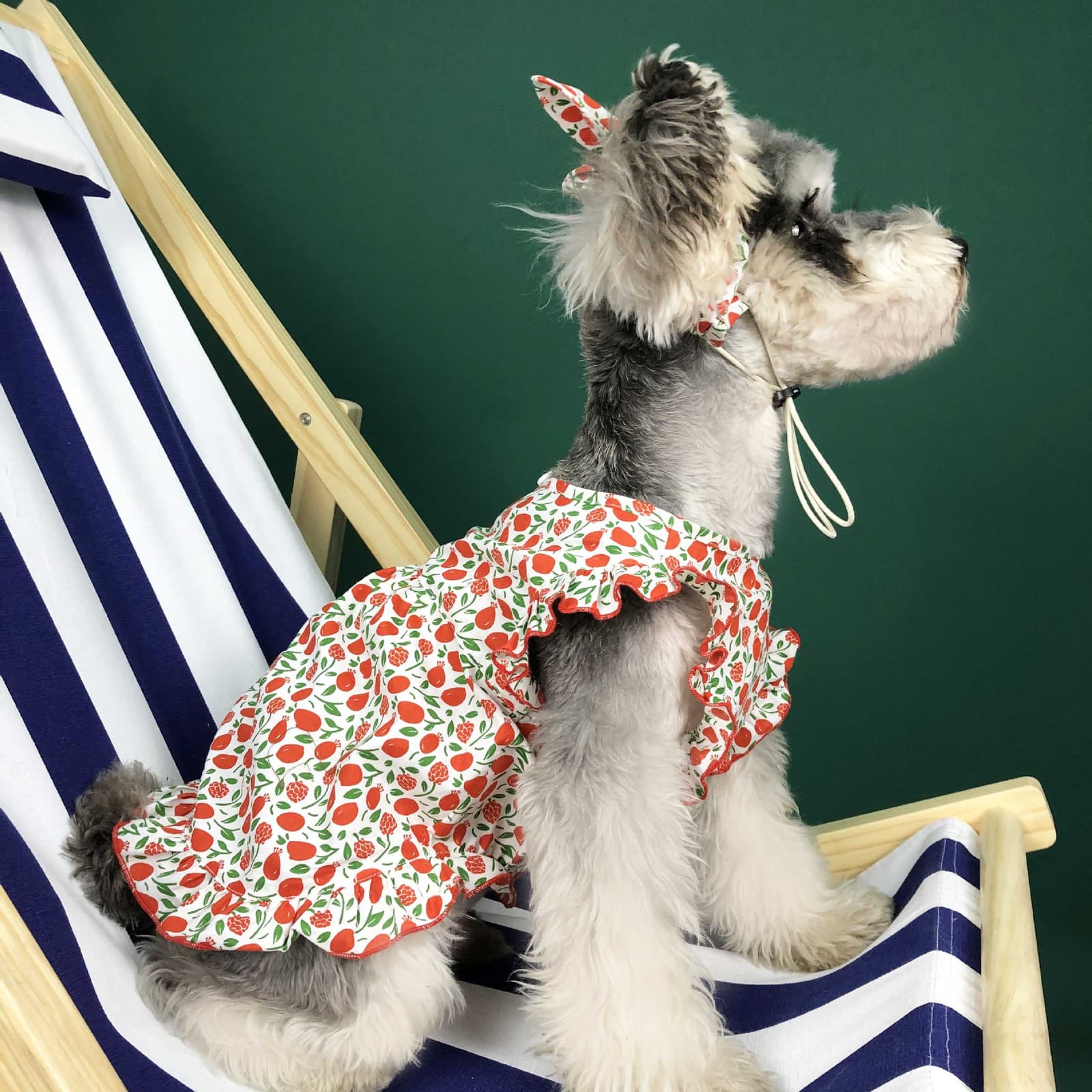 Vestido de verano para perro pequeño en algodón