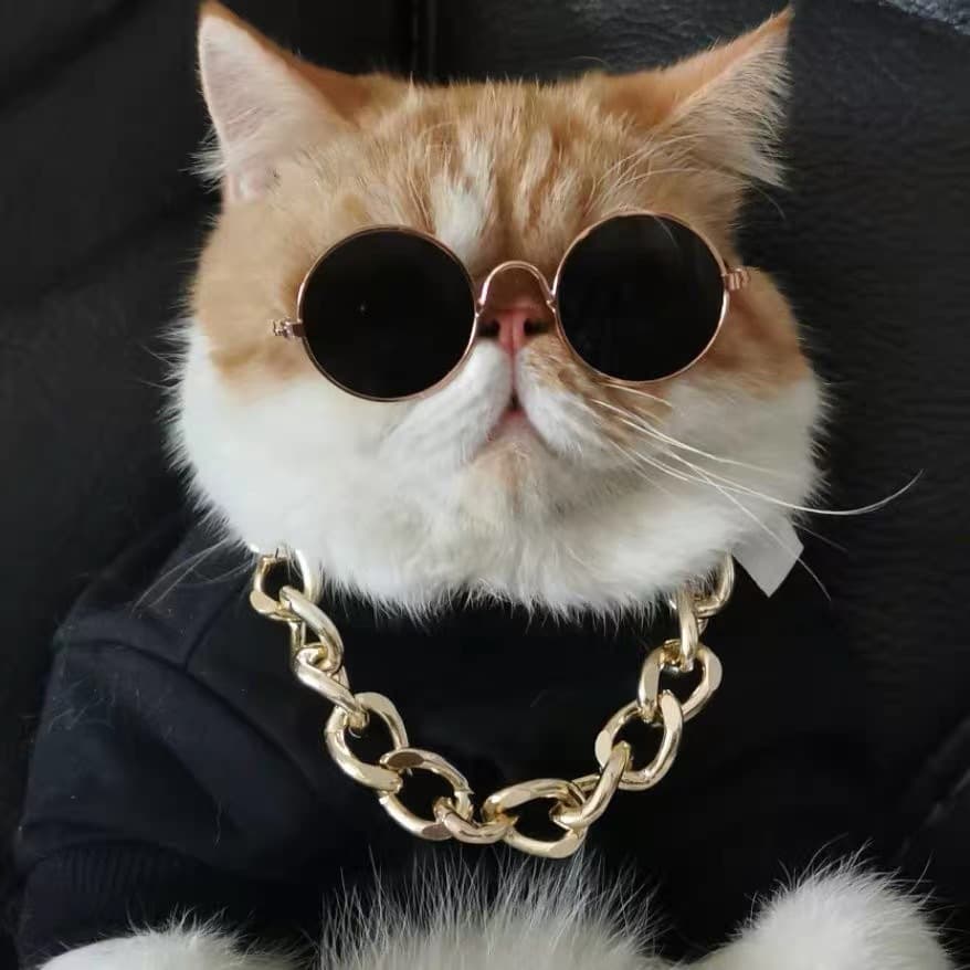 Sombrero para gato con diseño de león para fotos