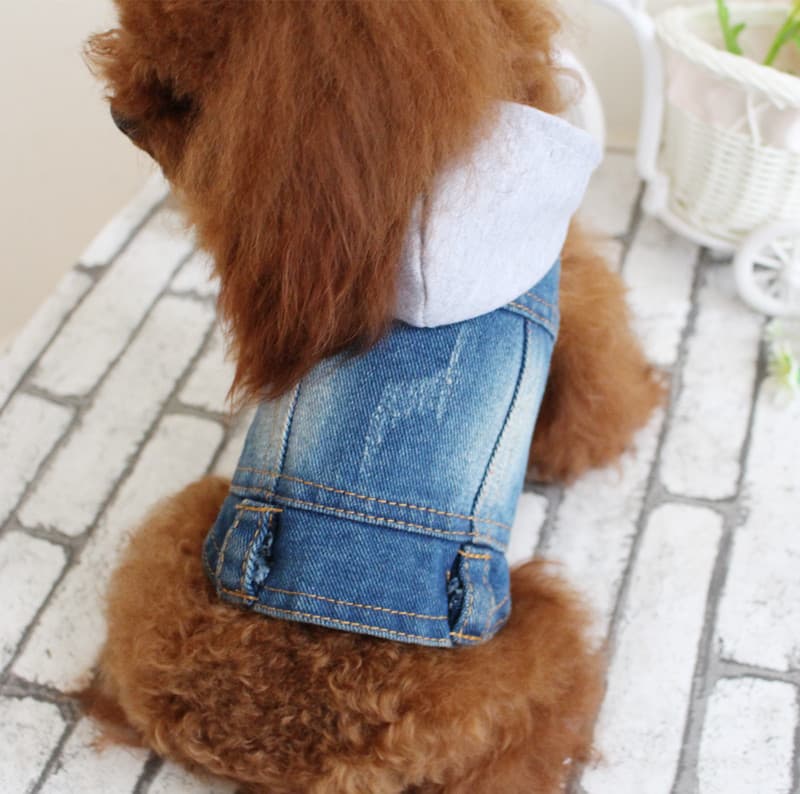 Chaleco denim con capucha estilo vaquero para mascotas
