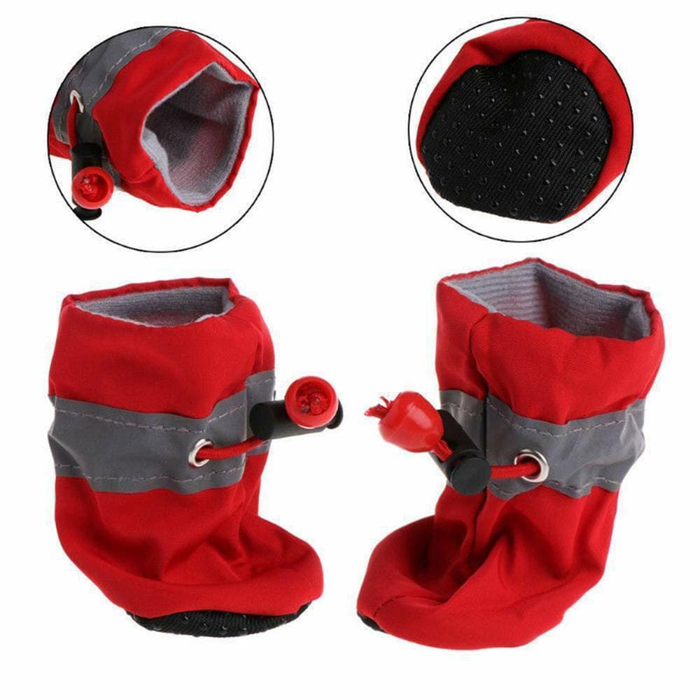Zapatos personalizados para perro con velcro