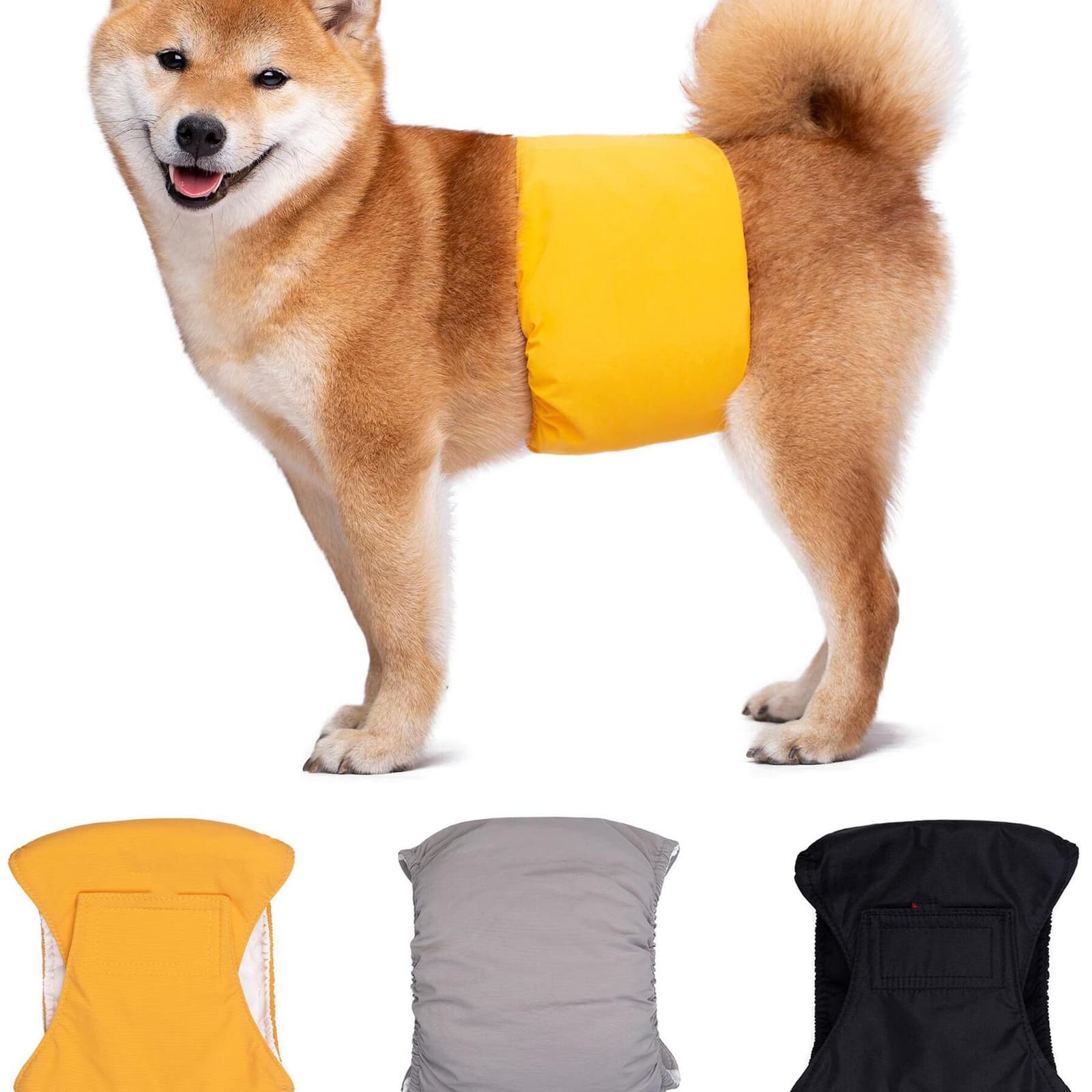 Pañal fisiológico para perros con cinturón