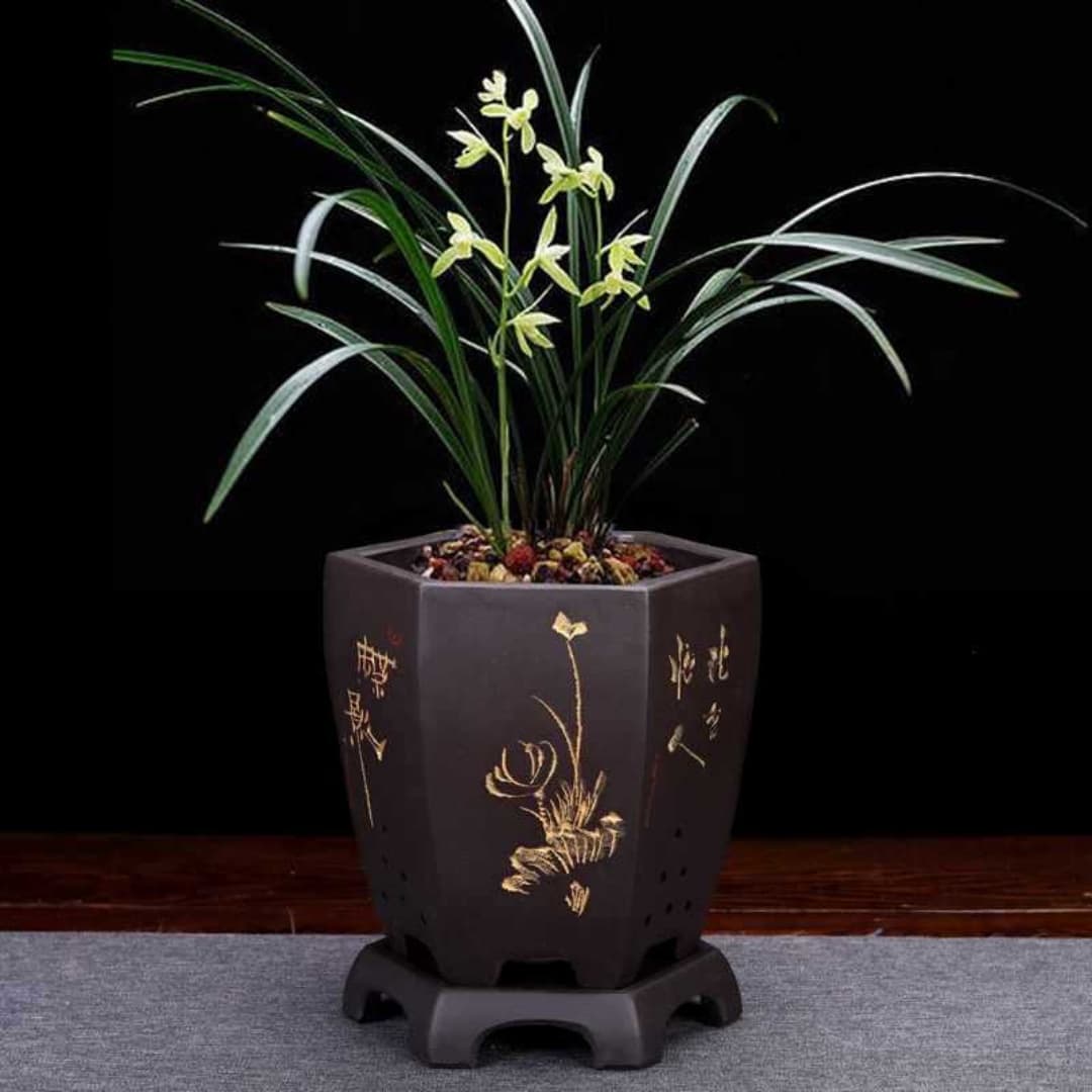 Maceta de cerámica púrpura para orquídeas y bonsái