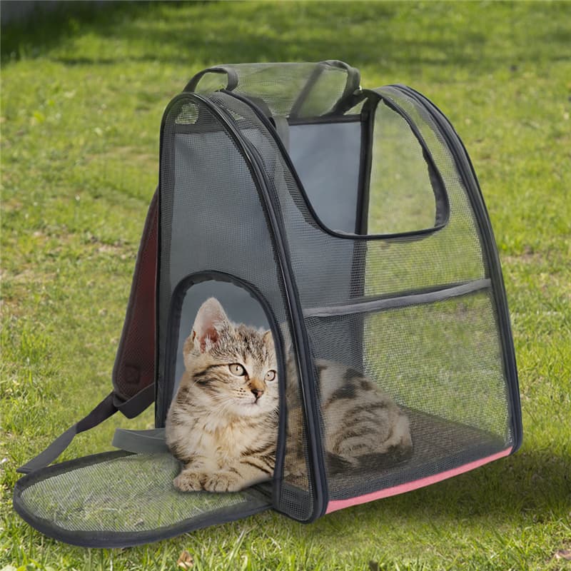 Bolsa portátil para mascotas con diseño de cápsula