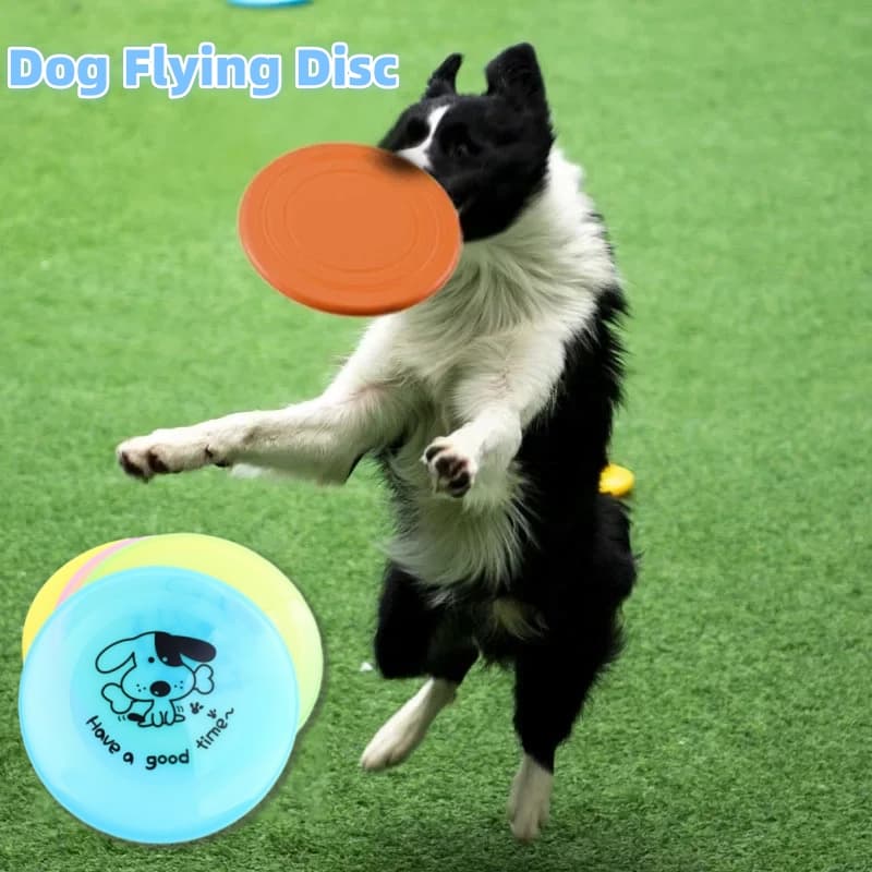 Disco volador de silicona para perros