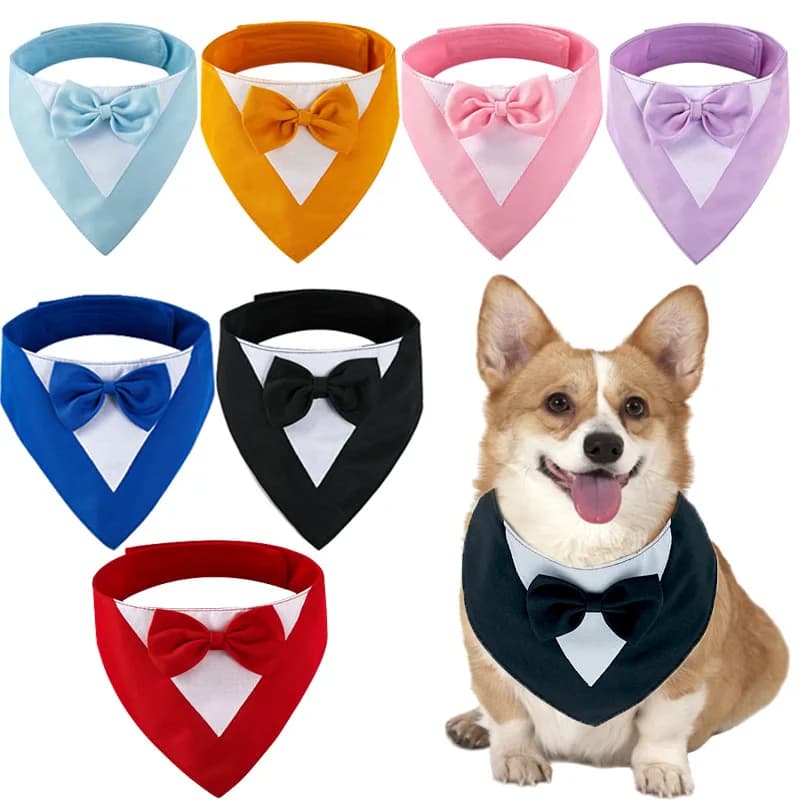 Babero triangular para mascota con moño