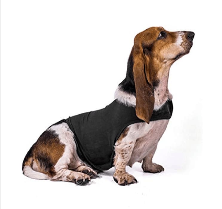 Chaleco de ansiedad para mascotas con efecto calmante