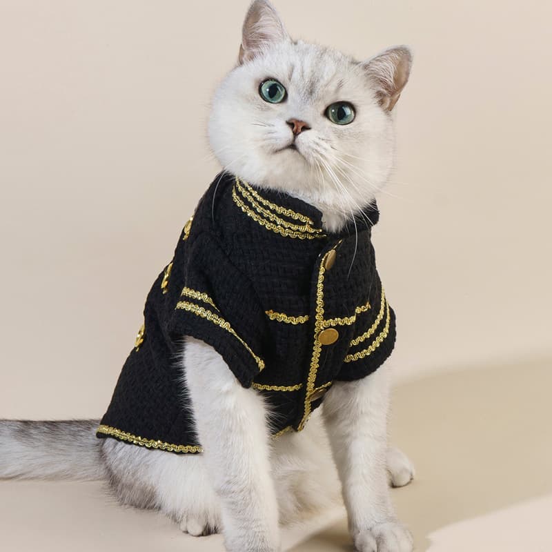 Chaqueta moderna y fresca para mascotas