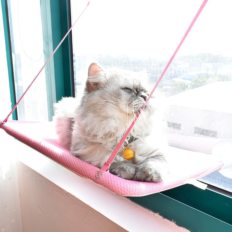 Hamaca para gatos con ventosas, malla transpirable
