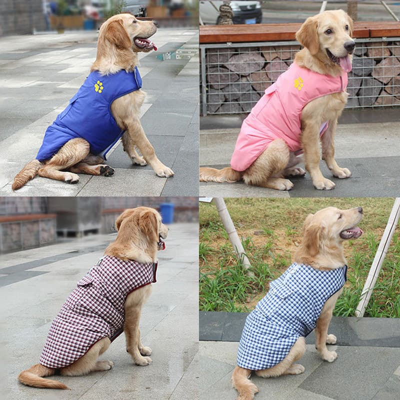 Chaleco impermeable para perros cálido de invierno