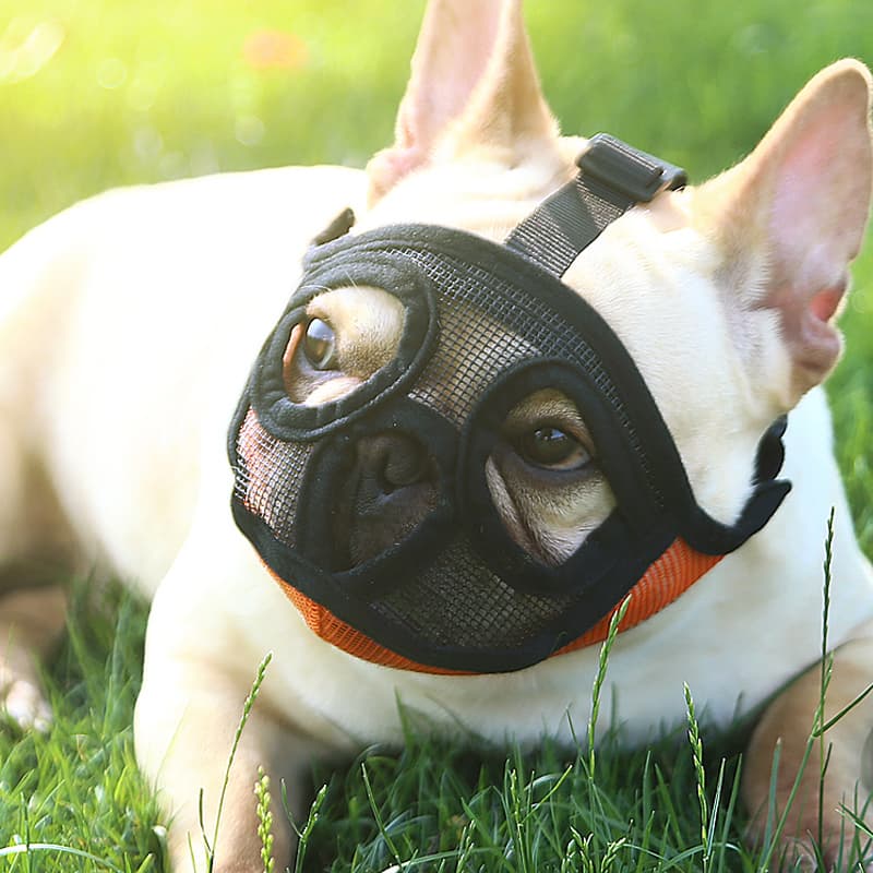 Bozal transpirable para perros pequeños y bulldogs