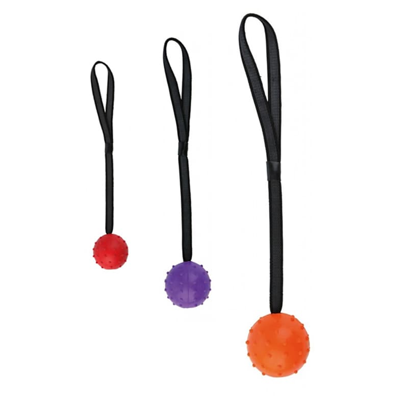 Pelota juguete para perro resistente a mordidas