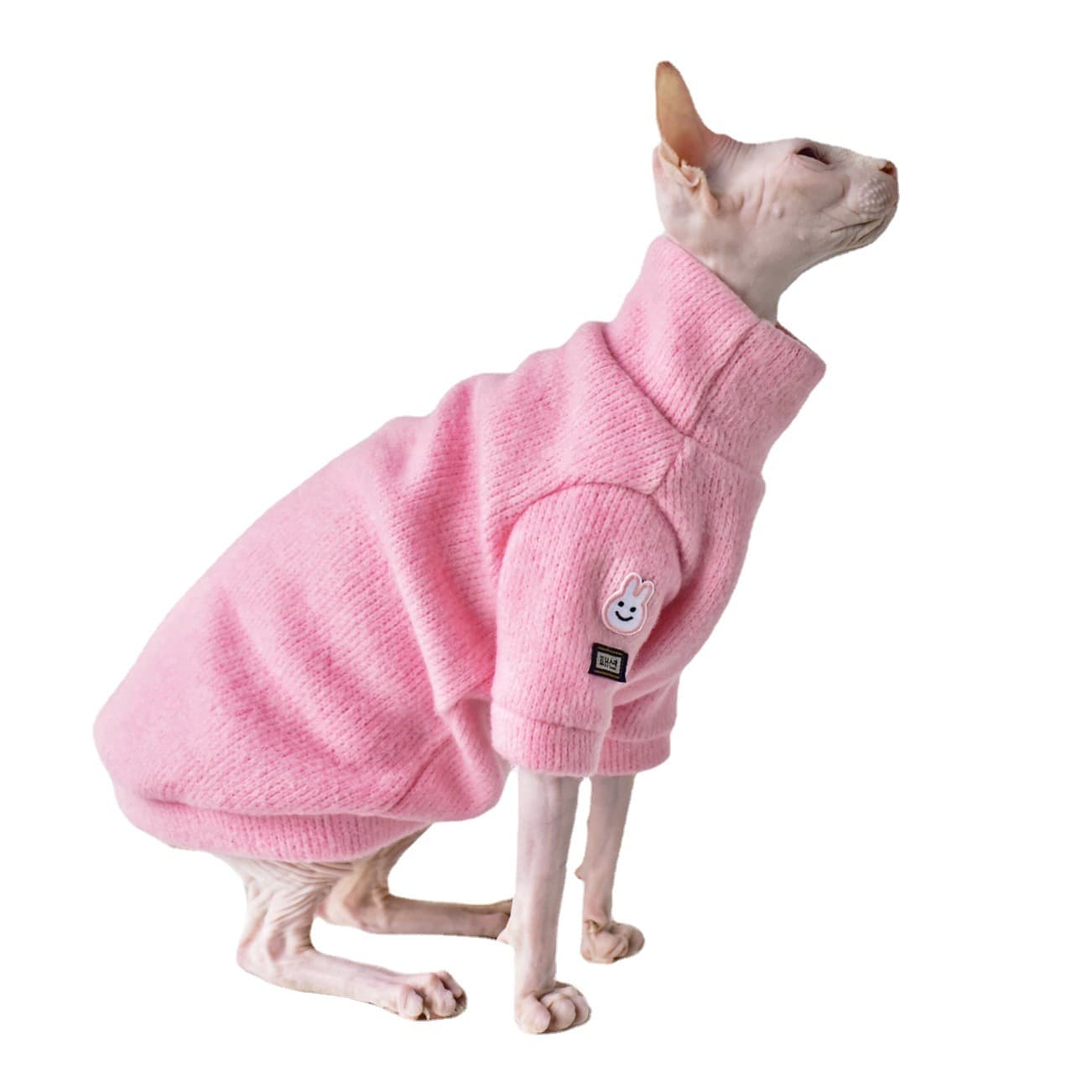 Abrigo de lana grueso para gato sin pelo en invierno