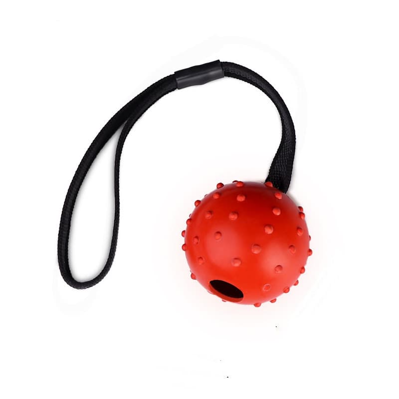Pelota juguete para perro resistente a mordidas