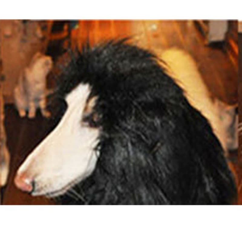 Peluca de melena de león para perros grandes