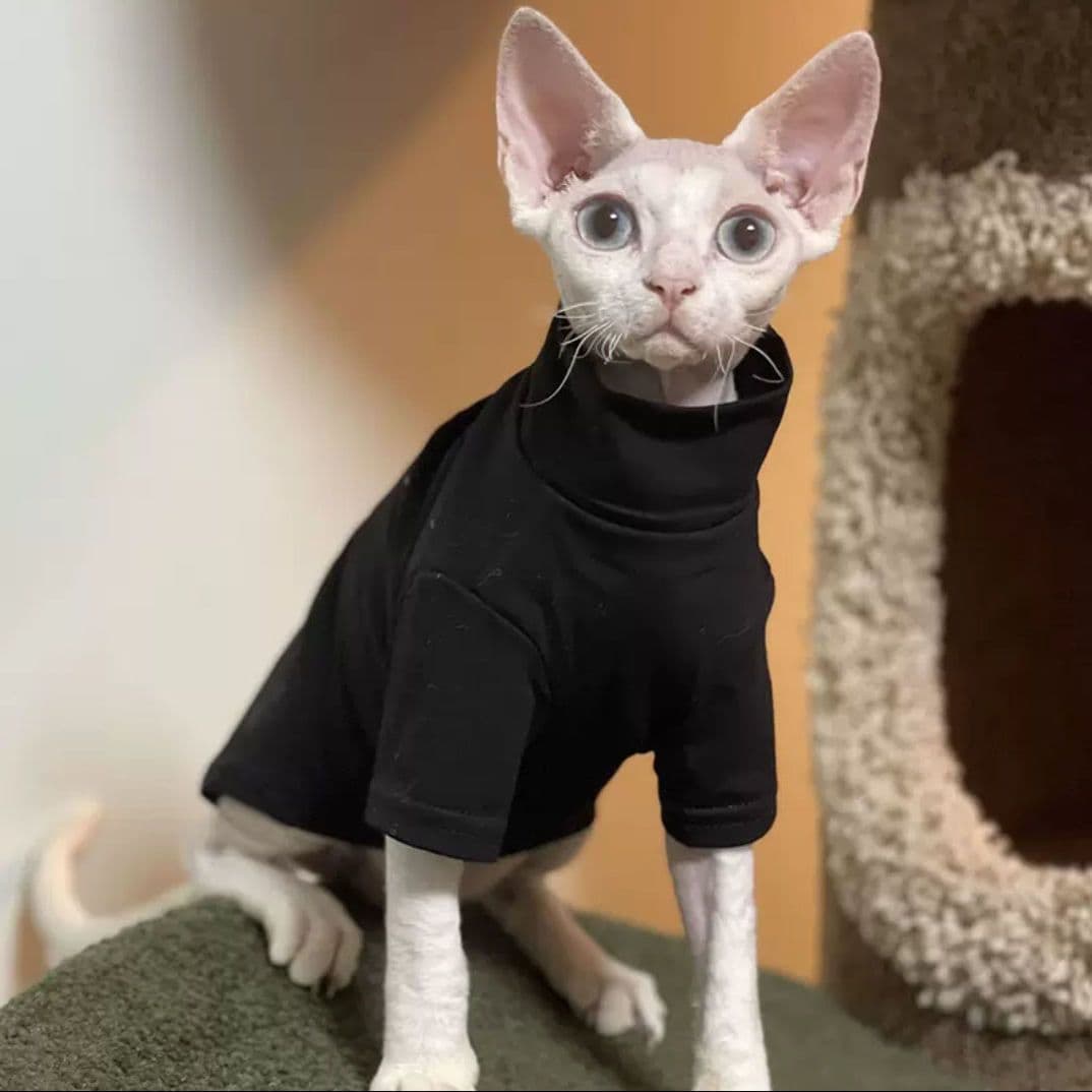Suéter cuello alto para gatos sin pelo