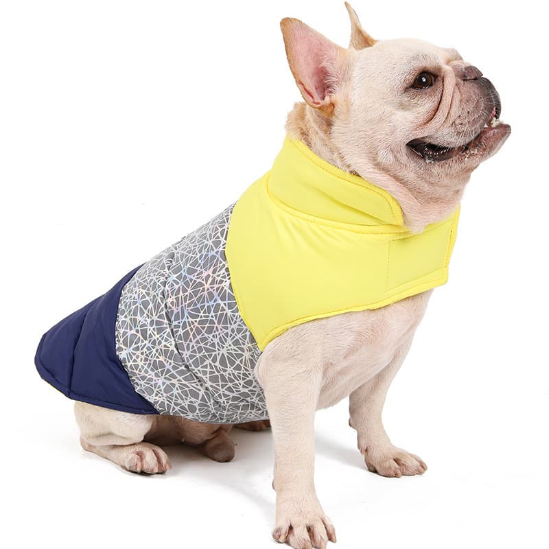 Chaqueta de plumón impermeable y cálida para mascotas
