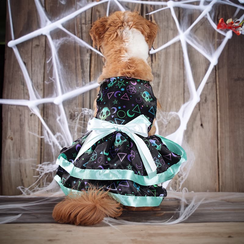Falda Halloween doble capa mascotas adorable
