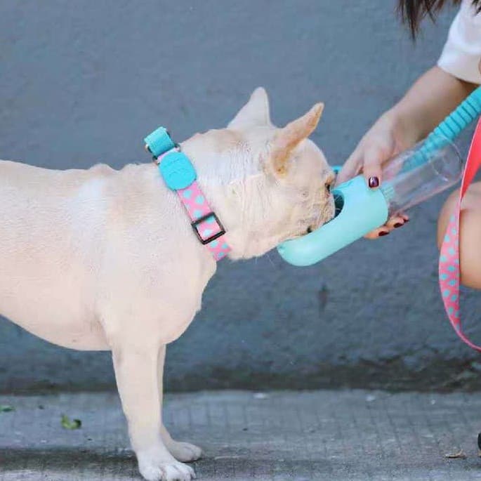 Collar antiexplosión tipo correa para mascotas ajustable