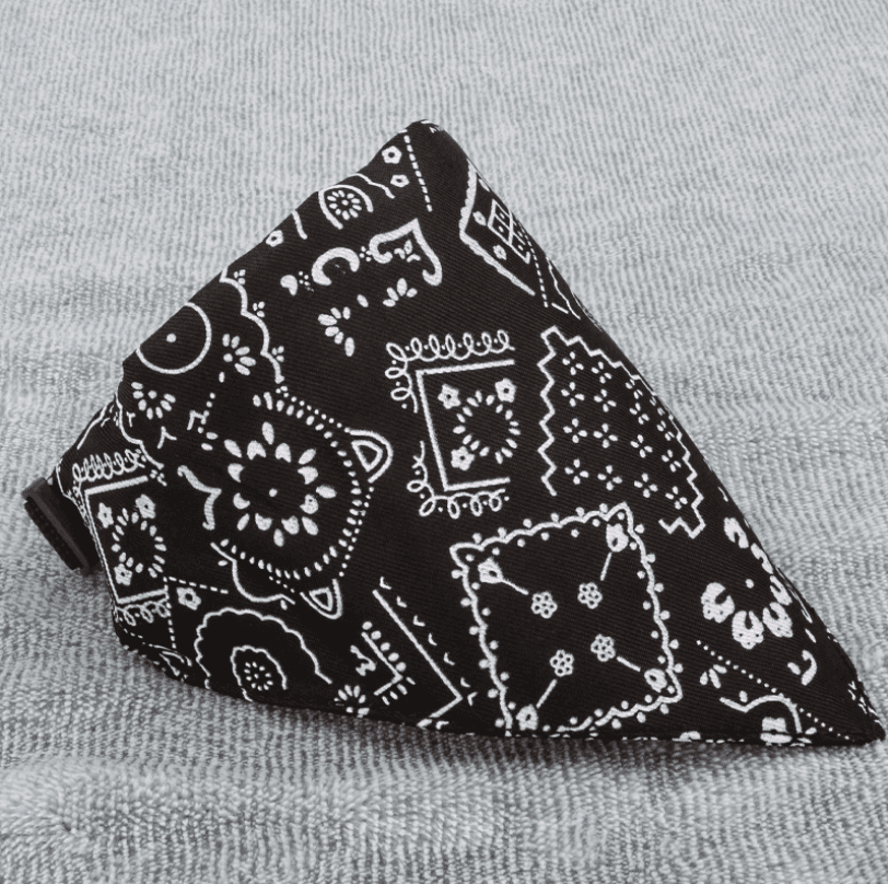 Pañuelo ajustable para mascotas con diseño de hebilla