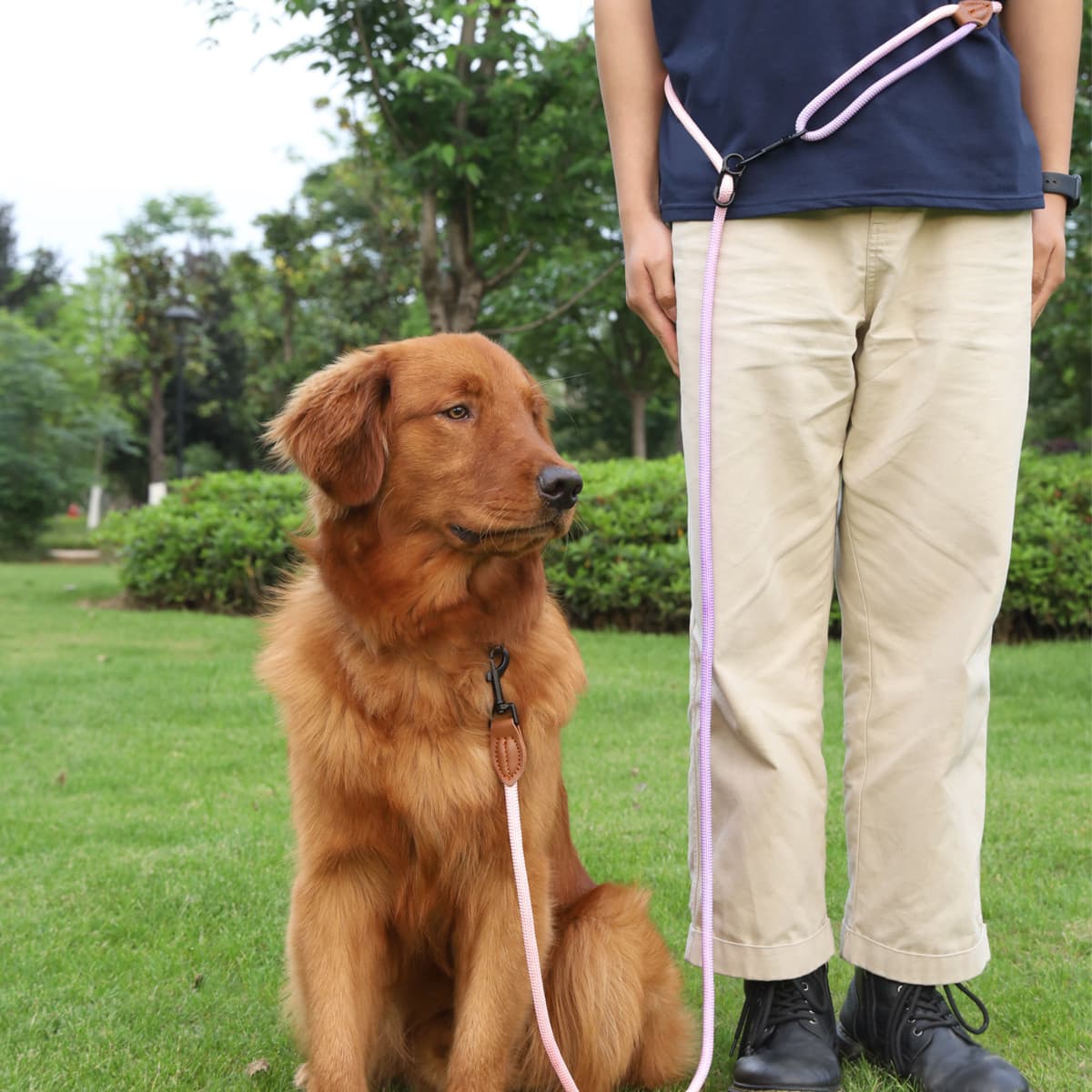 Correa reflectante para perro y gato