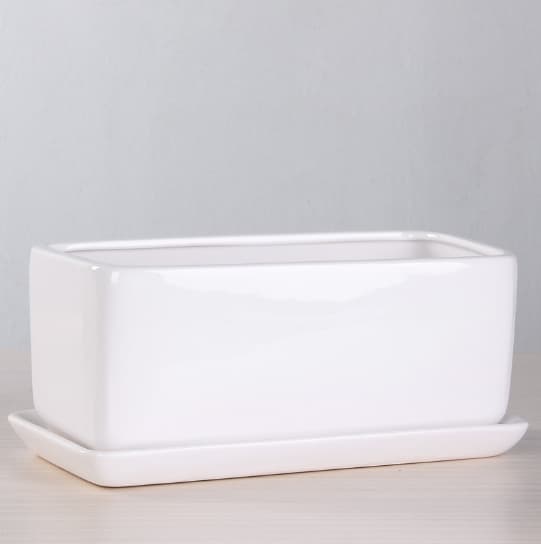 Maceta cerámica decorativa para bonsái con bandeja