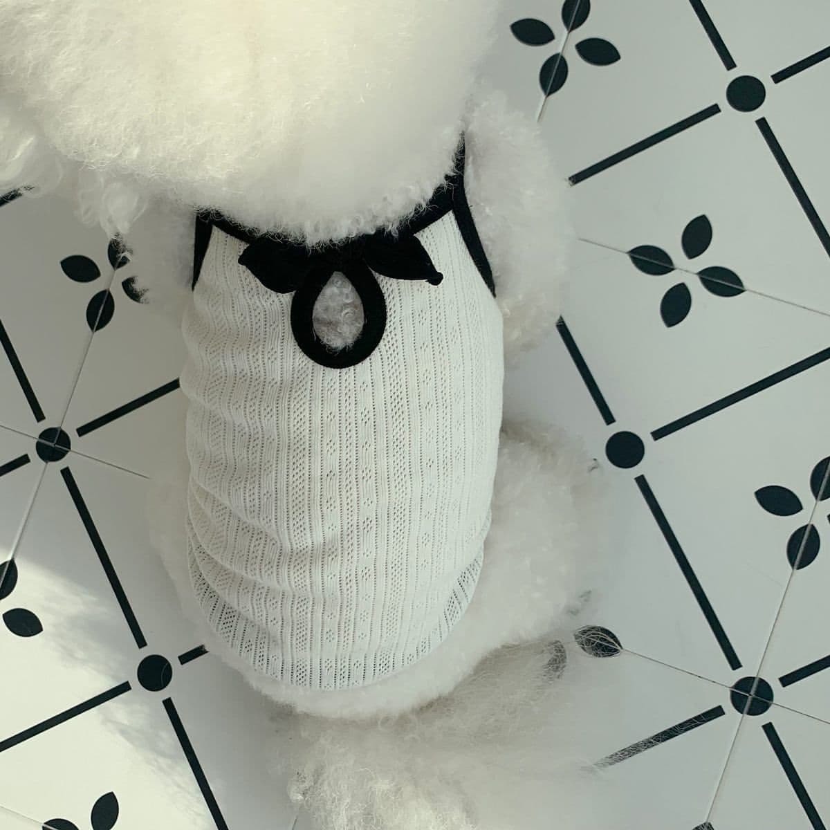 Camiseta sin mangas para perro