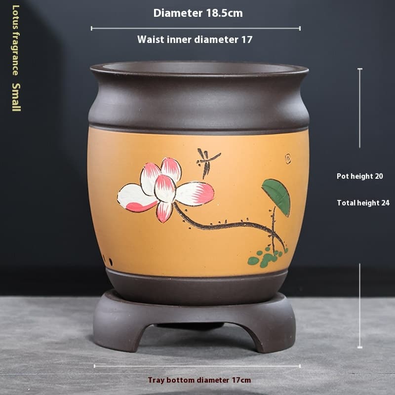 Maceta para orquídeas con bandeja