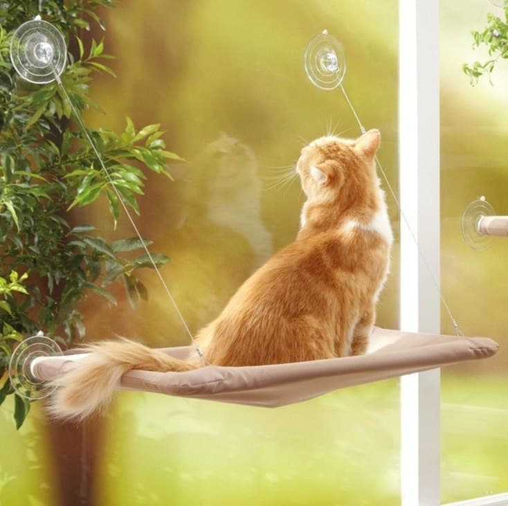 Cama colgante para gatos con ventosas para ventana