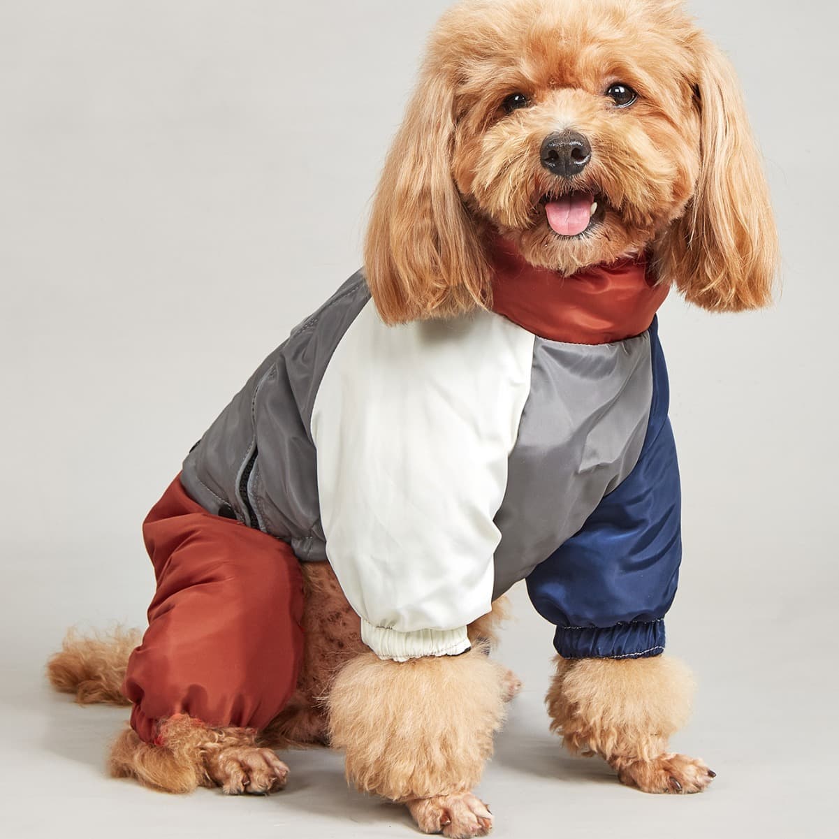 Ropa acolchada invernal bicolor para perros medianos y grandes