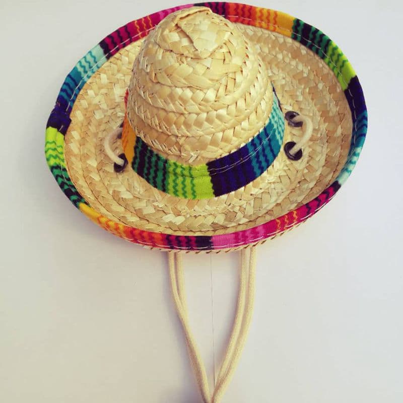 Sombrero de paja mexicano para mascotas