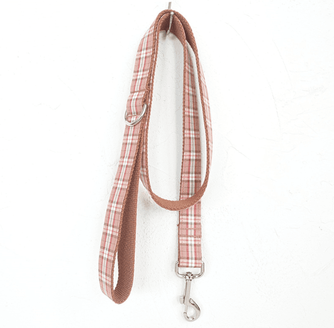 Juego de correa y collar con lazo para perros