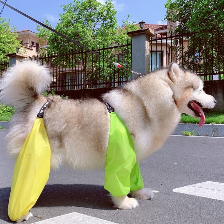 Impermeable ajustable para perro de cuatro patas