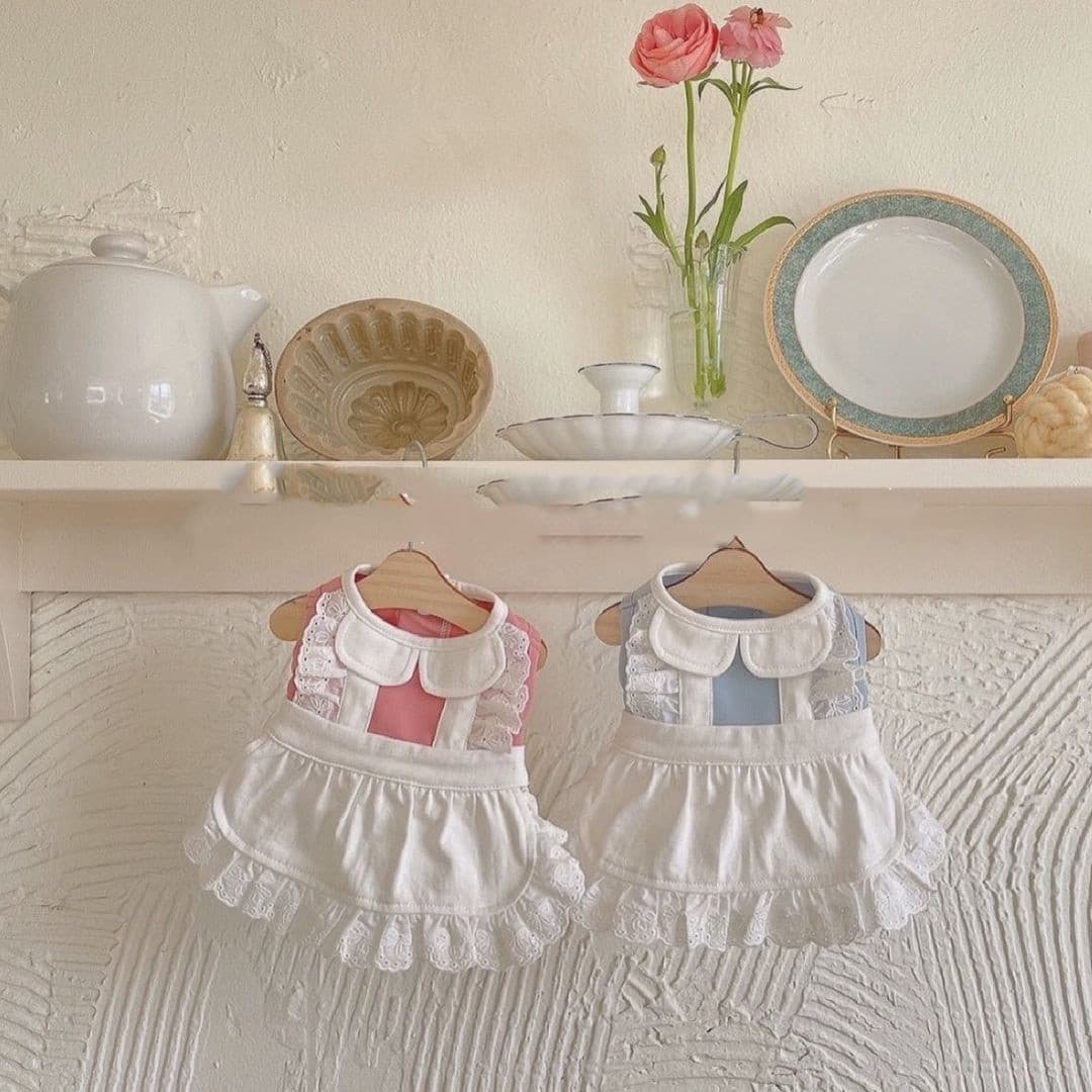 Falda de encaje para mascotas, estilo criada elegante