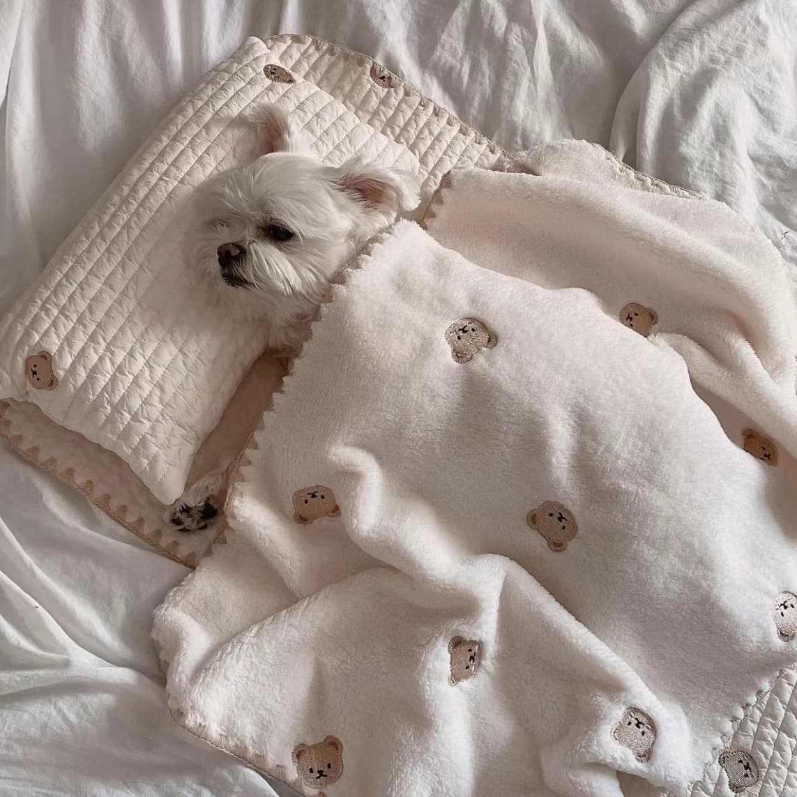Cama cuadrada para perro removible y lavable