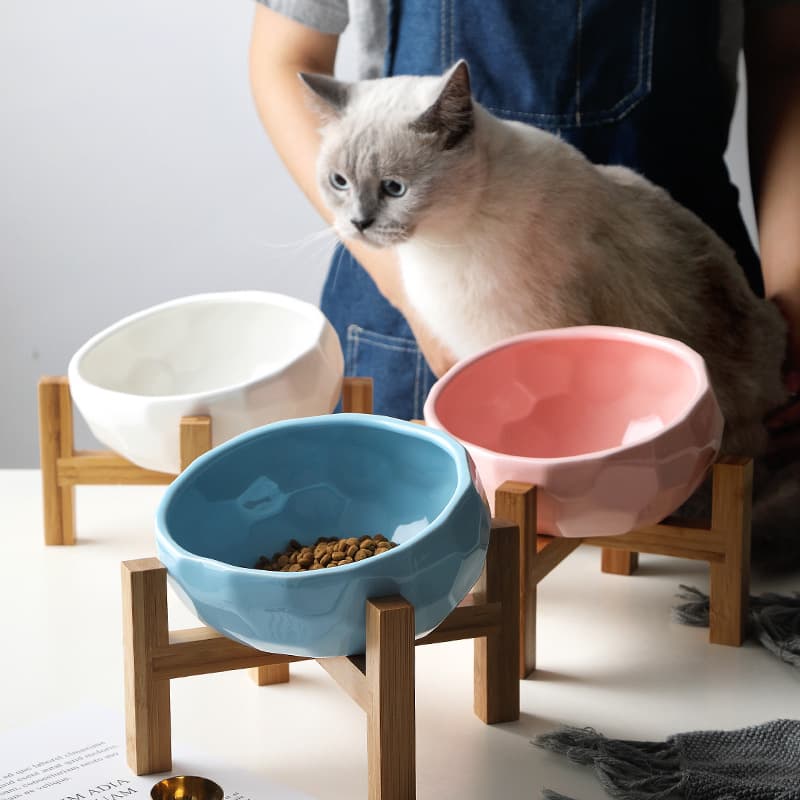 Cuenco para mascotas con boca oblicua para gatos y perros